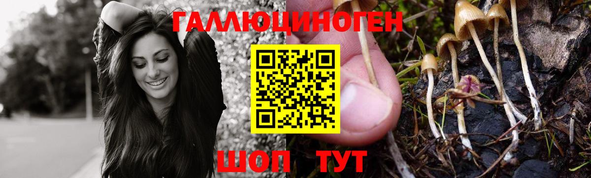 Псилоцибиновые грибы Magic Shrooms  Вход с VPN  Королёв 